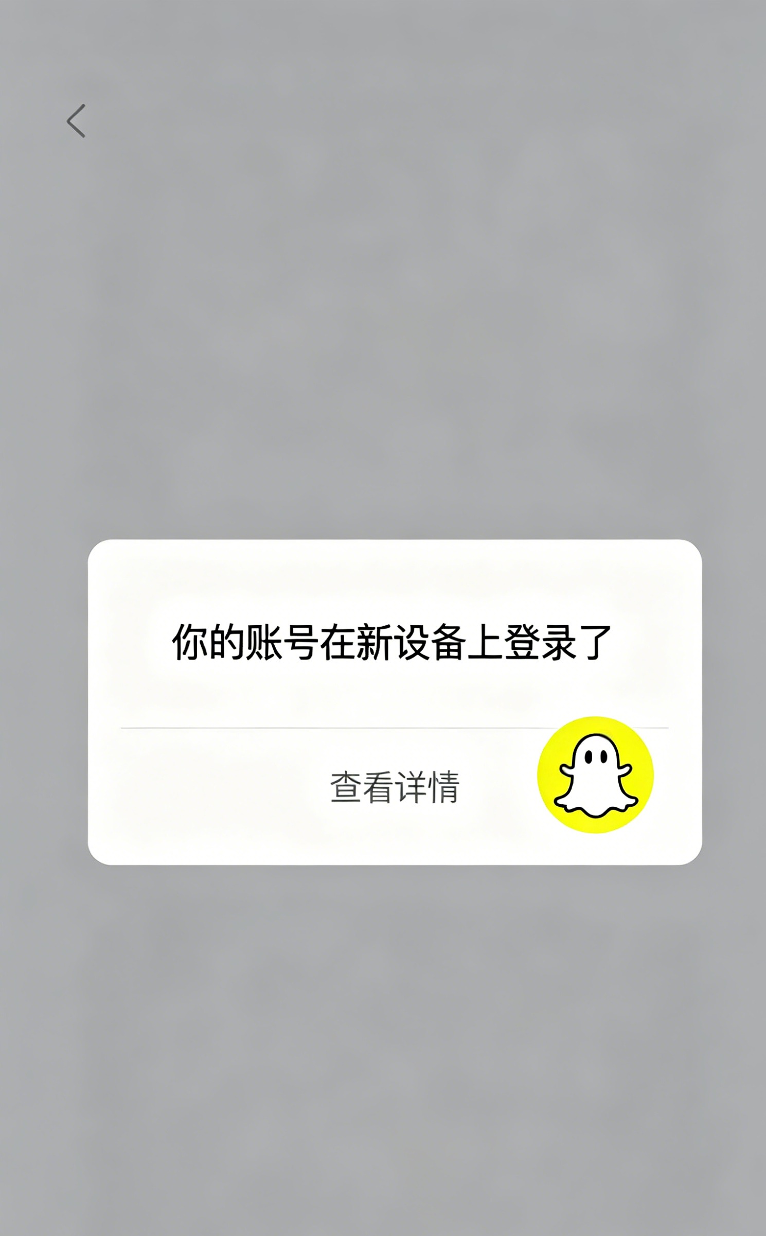 Snapchat 安全设置总览界面